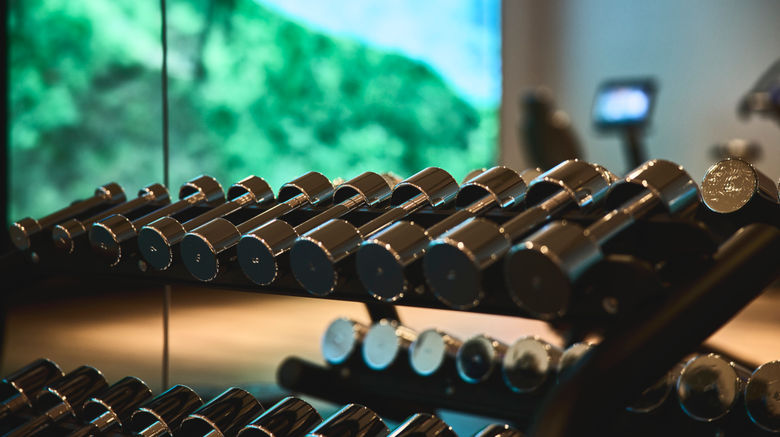 <b>Hotel Indigo Hakone Gora Health Club</b>. Images powered by <a href="https://www.leonardoworldwide.com/" title="Leonardo Worldwide" target="_blank">Leonardo</a>.