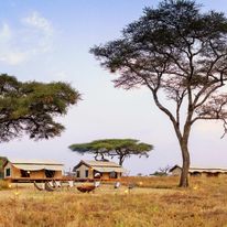 Singita Mara River Tented Camp