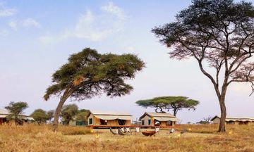 Singita Mara River Tented Camp