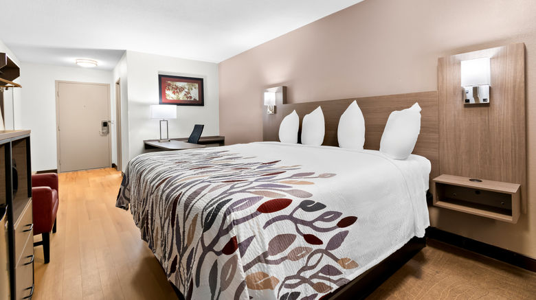 <b>Red Roof Inn Harrisburg North Room</b>. Images powered by <a href="https://www.leonardoworldwide.com/" title="Leonardo Worldwide" target="_blank">Leonardo</a>.