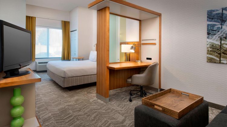 SpringHill Suites by Marriott Room