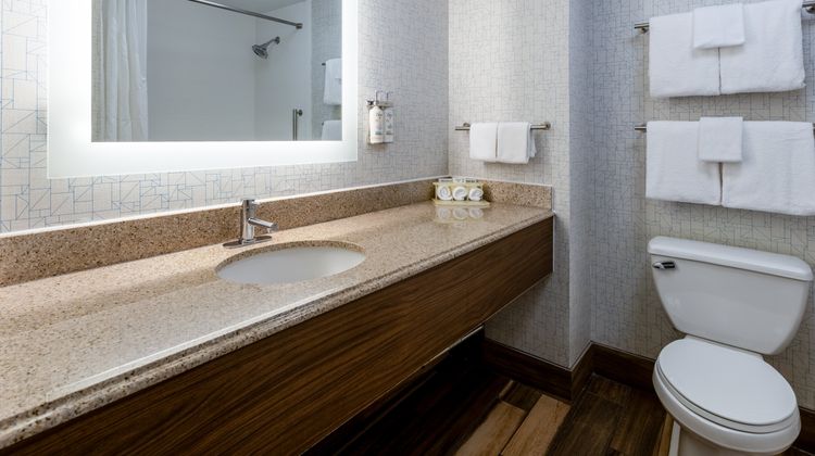 Holiday Inn Express & Stes Ft Washington Room