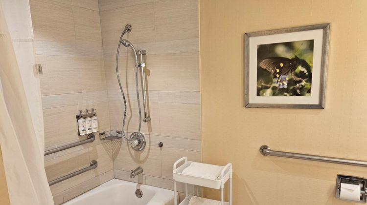 Holiday Inn Austin Town Lake Room