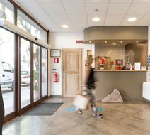 Hotel Domomea Lobby