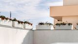 Hotel Domomea Pool