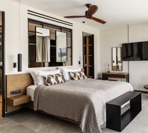 King Jason Zante Room