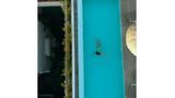 <b>Pereybere Hotel & Beach Apartments Pool</b>. Images powered by <a href="https://www.leonardoworldwide.com/" title="Leonardo Worldwide" target="_blank">Leonardo</a>.