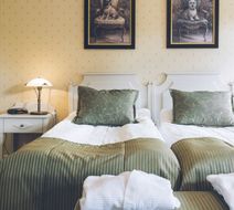 Lejondals Slott Room