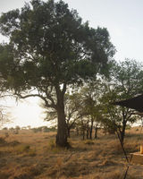 Siringit Migration Camp