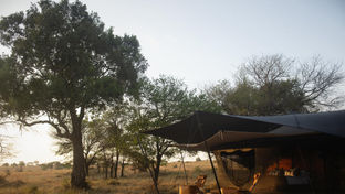 Siringit Migration Camp