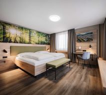 Hotel Linde Room
