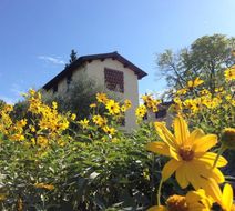 Il Poggiolo Delle Rose Exterior