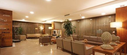 Anemon Ankara Lobby