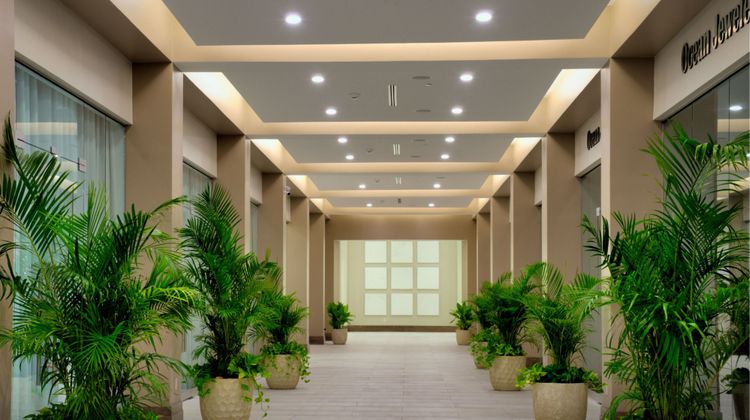 JW Marriott Beach Resort & Spa Lobby