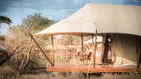 Singita Mara River Tented Camp Exterior