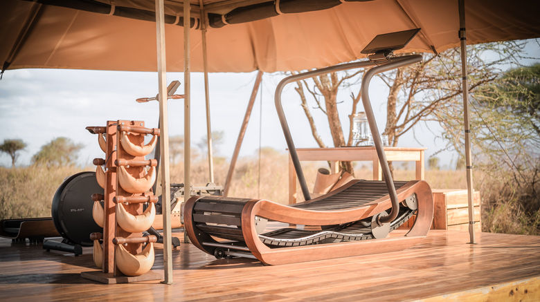 <b>Singita Mara River Tented Camp Health Club</b>. Images powered by <a href="https://www.leonardoworldwide.com/" title="Leonardo Worldwide" target="_blank">Leonardo</a>.