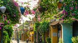 Moire Hoi An Other