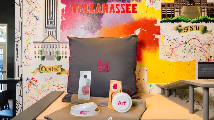 aloft Tallahassee Downtown Other