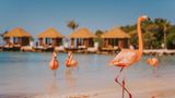 <b>Renaissance Wind Creek Aruba Resort Beach</b>. Images powered by <a href="https://www.leonardoworldwide.com/" title="Leonardo Worldwide" target="_blank">Leonardo</a>.