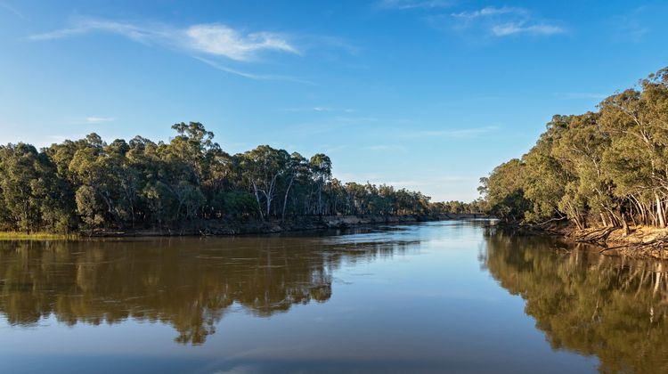 Discovery Parks Echuca Recreation