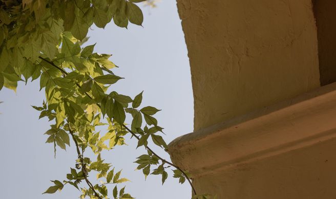 Grand Hotel Fasano-Villa Principe Exterior