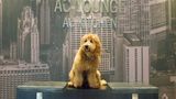 AC Hotel by Marriott Chicago Downtown Other