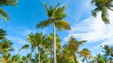 Courtyard Isla Verde Beach Resort Exterior