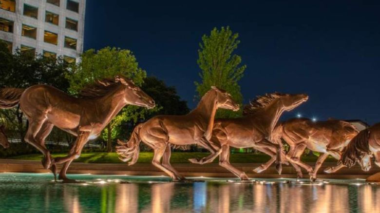 <b>Hotel Indigo Irving–Las Colinas Other</b>. Images powered by <a href="https://www.leonardoworldwide.com/" title="Leonardo Worldwide" target="_blank">Leonardo</a>.
