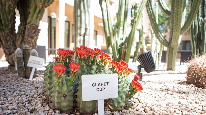 <b>Courtyard by Marriott Phoenix Mesa Exterior</b>. Images powered by <a href="https://www.leonardoworldwide.com/" title="Leonardo Worldwide" target="_blank">Leonardo</a>.