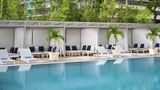 Courtyard Miami Coconut Grove Pool