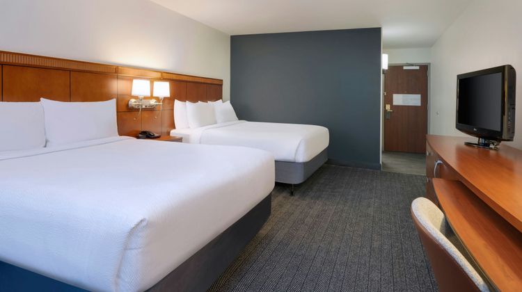 Courtyard Tampa North/I-75 Fletcher Room