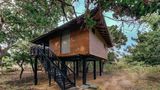 Cinnamon Wild Yala Exterior