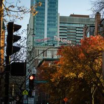 The Lenox