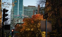 The Lenox