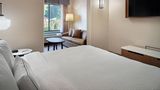 Fairfield Inn & Suites Asheville Airport Suite