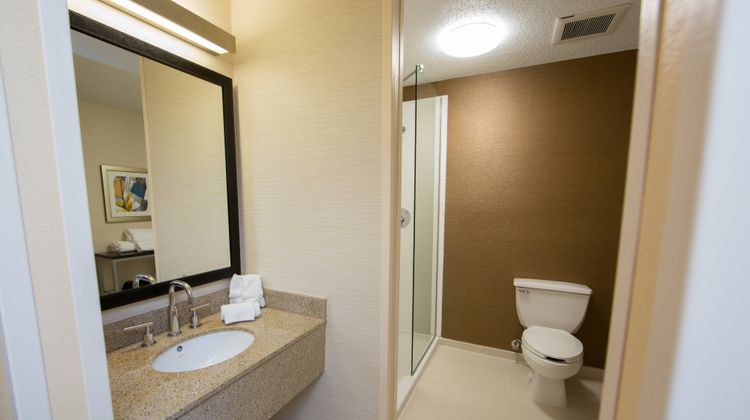 Fairfield Inn by Marriott Room