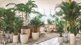 The Miami Beach EDITION Lobby