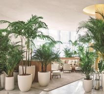 The Miami Beach EDITION Lobby