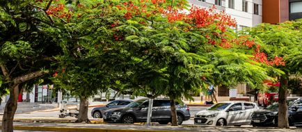 Fairfield Inn & Suites Cancun Downtown Exterior
