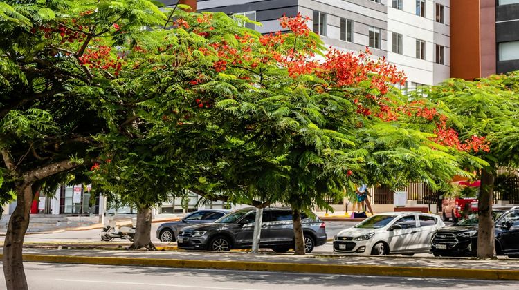 Fairfield Inn & Suites Cancun Downtown Exterior