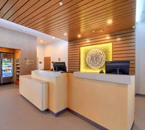 Fairfield Inn & Suites Dallas Cedar Hill Lobby