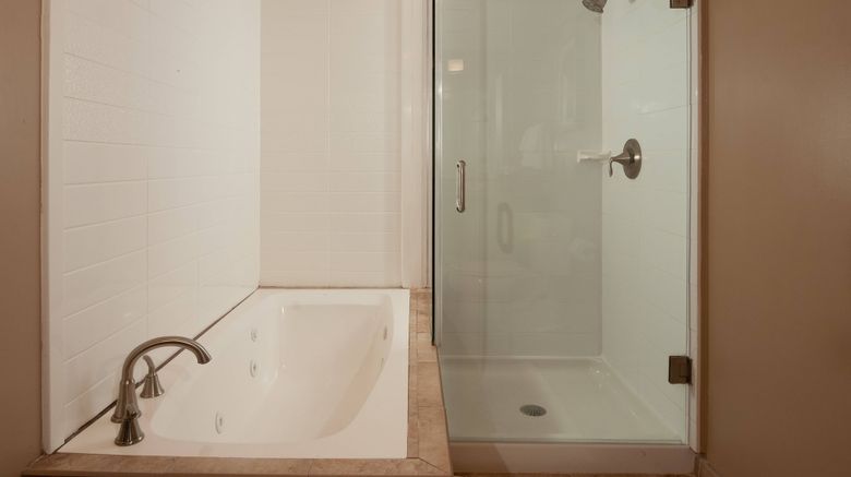 <b>Delta Orlando Lake Buena Vista Room</b>. Images powered by <a href="https://www.leonardoworldwide.com/" title="Leonardo Worldwide" target="_blank">Leonardo</a>.