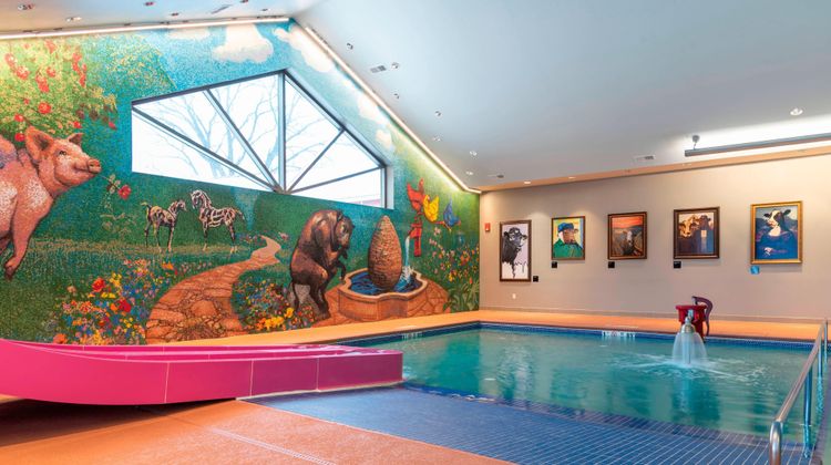 Fairfield Inn & Suites Fair Oaks Farms Pool