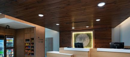 Fairfield Inn & Suites Ft Worth Alliance Airport Lobby