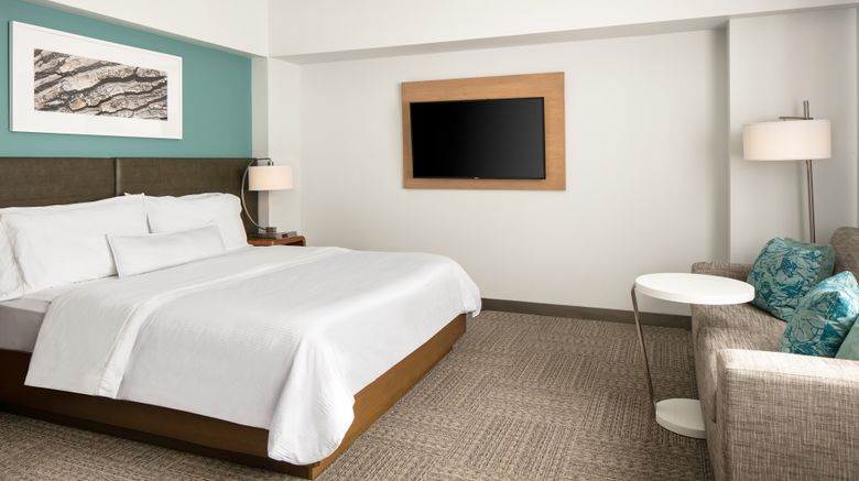 <b>Element Omaha Midtown Crossing Room</b>. Images powered by <a href="https://www.leonardoworldwide.com/" title="Leonardo Worldwide" target="_blank">Leonardo</a>.