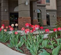 Fairfield Inn & Suites Downtown Exterior