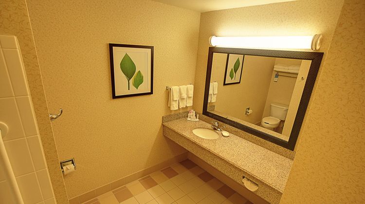 Fairfield Inn & Suites Rend Lake Room