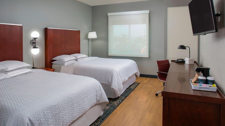 Four Points by Sheraton Houston Hobby Room