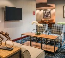 Four Points Sheraton Boston Logan Arpt Lobby