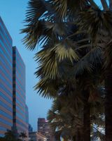 Four Points by Sheraton Jakarta, Thamrin
